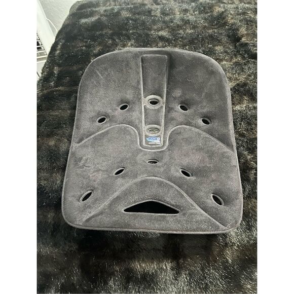 BackJoy Posture Seat Black Cushion  back joy - Picture 1 of 4